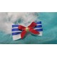 Sailor 3 stripe hair clip